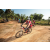 Team 303 / Raid Amazones Sri Lanka 2022 - J5 VTT