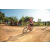 Team 28 / Raid Amazones Sri Lanka 2022 - J5 VTT