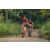 Team 38 / Raid Amazones Sri Lanka 2022 - J5 VTT