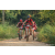 Team 325 / Raid Amazones Sri Lanka 2022 - J5 VTT