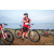 Team 27 / Raid Amazones Sri Lanka 2022 - J5 VTT