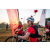 Team 309 / Raid Amazones Sri Lanka 2022 - J5 VTT