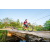 Team 43 / Raid Amazones Sri Lanka 2022 - J5 VTT