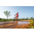 Team 323 / Raid Amazones Sri Lanka 2022 - J5 VTT
