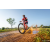 Team 55 / Raid Amazones Sri Lanka 2022 - J5 VTT