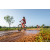 Team 18 / Raid Amazones Sri Lanka 2022 - J5 VTT