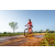 Team 17 / Raid Amazones Sri Lanka 2022 - J5 VTT