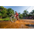 Team 15 / Raid Amazones Sri Lanka 2022 - J5 VTT