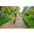Team 07 / Raid Amazones Sri Lanka 2022 - J5 VTT