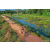 Raid Amazones Sri Lanka 2022 - J5 VTT