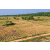 Raid Amazones Sri Lanka 2022 - J5 VTT