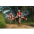 Team 16 / Raid Amazones Sri Lanka 2022 - J5 VTT