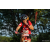 Team 325 / Raid Amazones Sri Lanka 2022 - J5 VTT