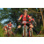 Team 60 / Raid Amazones Sri Lanka 2022 - J5 VTT