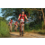 Team 312 / Raid Amazones Sri Lanka 2022 - J5 VTT