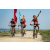 Team 320 / Raid Amazones Sri Lanka 2022 - J5 VTT