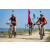 Team 309 / Raid Amazones Sri Lanka 2022 - J5 VTT
