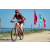 Team 78 / Raid Amazones Sri Lanka 2022 - J5 VTT