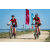Team 31 / Raid Amazones Sri Lanka 2022 - J5 VTT