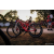 Raid Amazones Sri Lanka 2022 - J5 VTT