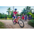 Team 31 / Raid Amazones Sri Lanka 2022 - J5 VTT