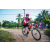 Team 14 / Raid Amazones Sri Lanka 2022 - J5 VTT