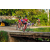 Team 15 / Raid Amazones Sri Lanka 2022 - J5 VTT