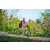 Team 332 / Raid Amazones Sri Lanka 2022 - J5 VTT