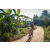 Team 18 / Raid Amazones Sri Lanka 2022 - J5 VTT