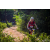 Team 75 / Raid Amazones Sri Lanka 2022 - J5 VTT