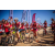 Team 332 / Raid Amazones Sri Lanka 2022 - J5 VTT