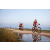 Team 331 / Raid Amazones Sri Lanka 2022 - J5 VTT