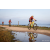 Team 302 / Raid Amazones Sri Lanka 2022 - J5 VTT