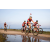 Team 301 / Raid Amazones Sri Lanka 2022 - J5 VTT
