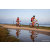 Team 25 / Raid Amazones Sri Lanka 2022 - J5 VTT