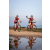 Team 41 / Raid Amazones Sri Lanka 2022 - J5 VTT