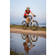 Team 312 / Raid Amazones Sri Lanka 2022 - J5 VTT