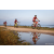Team 312 / Raid Amazones Sri Lanka 2022 - J5 VTT