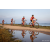 Team 34 / Raid Amazones Sri Lanka 2022 - J5 VTT