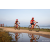 Team 48 / Raid Amazones Sri Lanka 2022 - J5 VTT