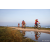 Team 325 / Raid Amazones Sri Lanka 2022 - J5 VTT