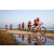 Team 303 / Raid Amazones Sri Lanka 2022 - J5 VTT