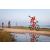 Team 305 / Raid Amazones Sri Lanka 2022 - J5 VTT