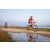 Team 71 / Raid Amazones Sri Lanka 2022 - J5 VTT