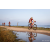 Team 305 / Raid Amazones Sri Lanka 2022 - J5 VTT