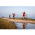 Team 313 / Raid Amazones Sri Lanka 2022 - J5 VTT