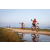Team 313 / Raid Amazones Sri Lanka 2022 - J5 VTT