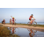 Team 67 / Raid Amazones Sri Lanka 2022 - J5 VTT