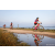 Team 21 / Raid Amazones Sri Lanka 2022 - J5 VTT
