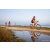 Team 21 / Raid Amazones Sri Lanka 2022 - J5 VTT
